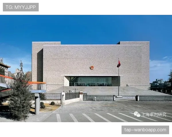 场外未经许可入场判罚规则，裁判如何界定责任主体？